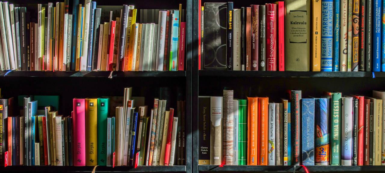 Fejléc háttérkép